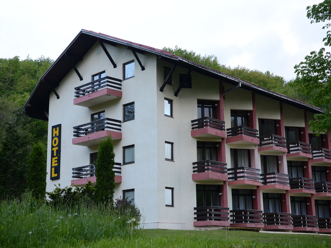 Hotel Mladost主图