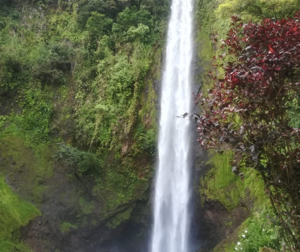 Viento Fresco Waterfall景点图片