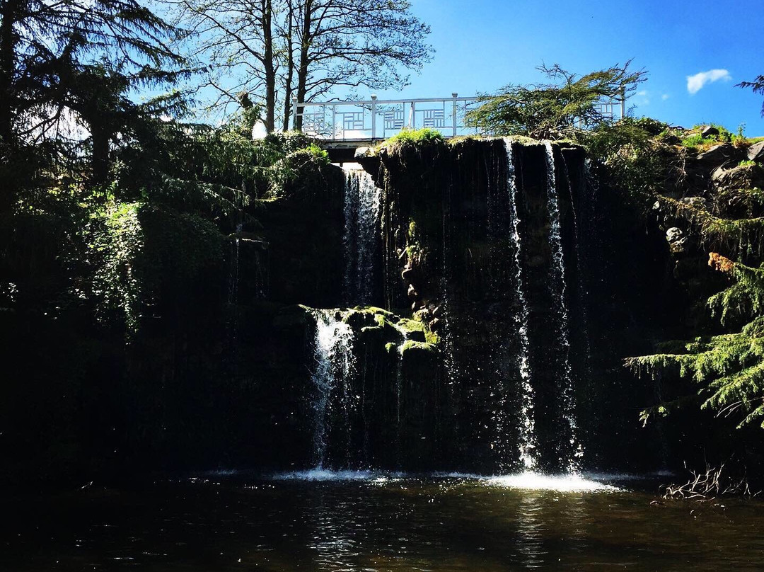 Japanese Water Garden景点图片