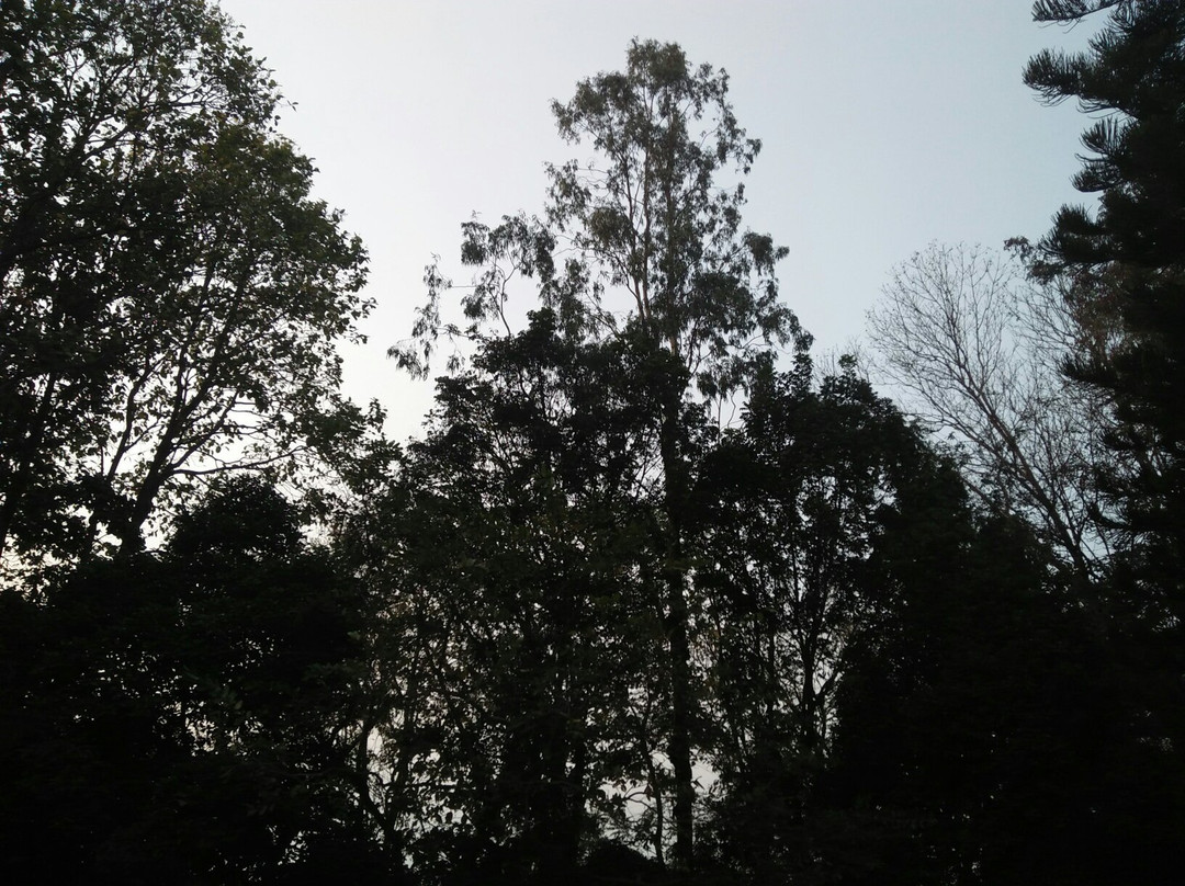 Gojni Obokash Kendro-Sherpur必去景点