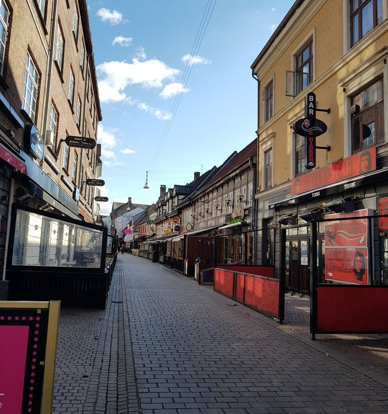 Jomfru Ane Gade-奥尔堡必去景点