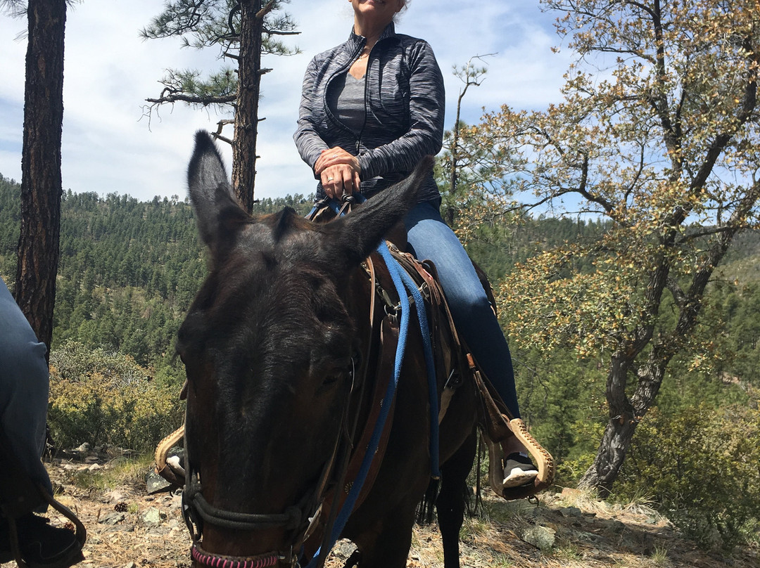 Prescott Horseback Riding-普雷斯科特必去景点