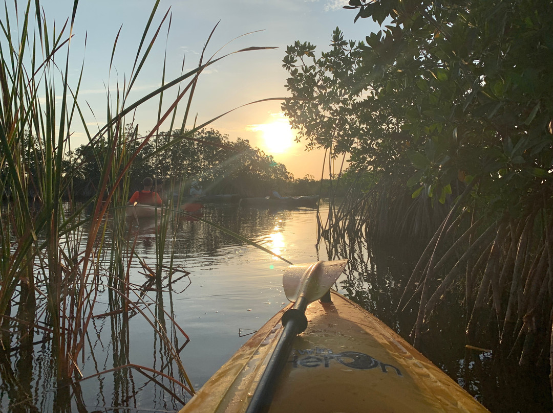 Jenny's Eco Everglades Wilderness Tours景点图片