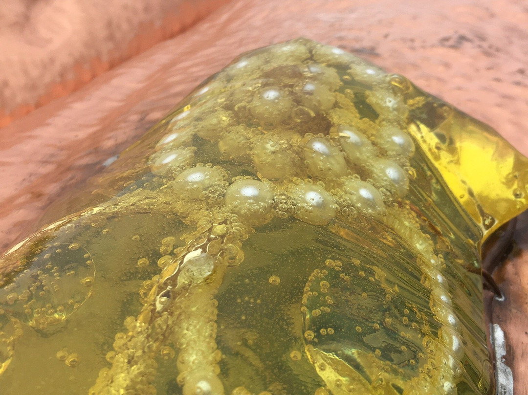 Clock Park-Wolfville必去景点