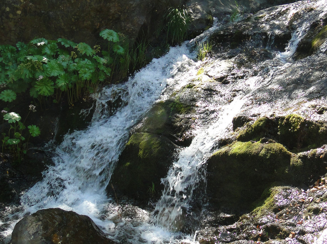 Codfish Creek Trail-Colfax必去景点