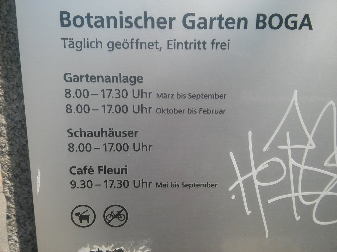 Botanical Garden (Botanischer Garten)景点图片