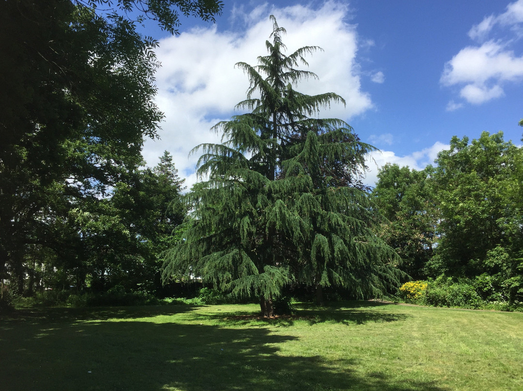 Fishponds Park景点图片