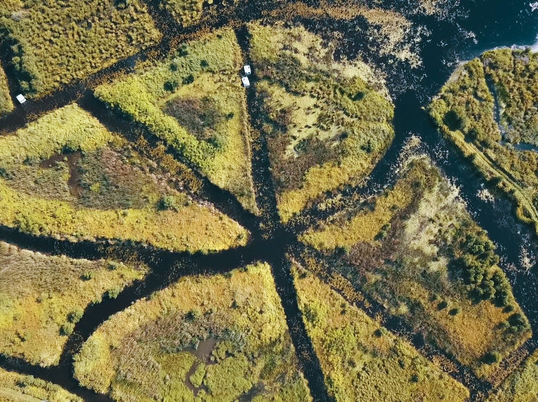 Eco-Odyssee-Wakefield必去景点