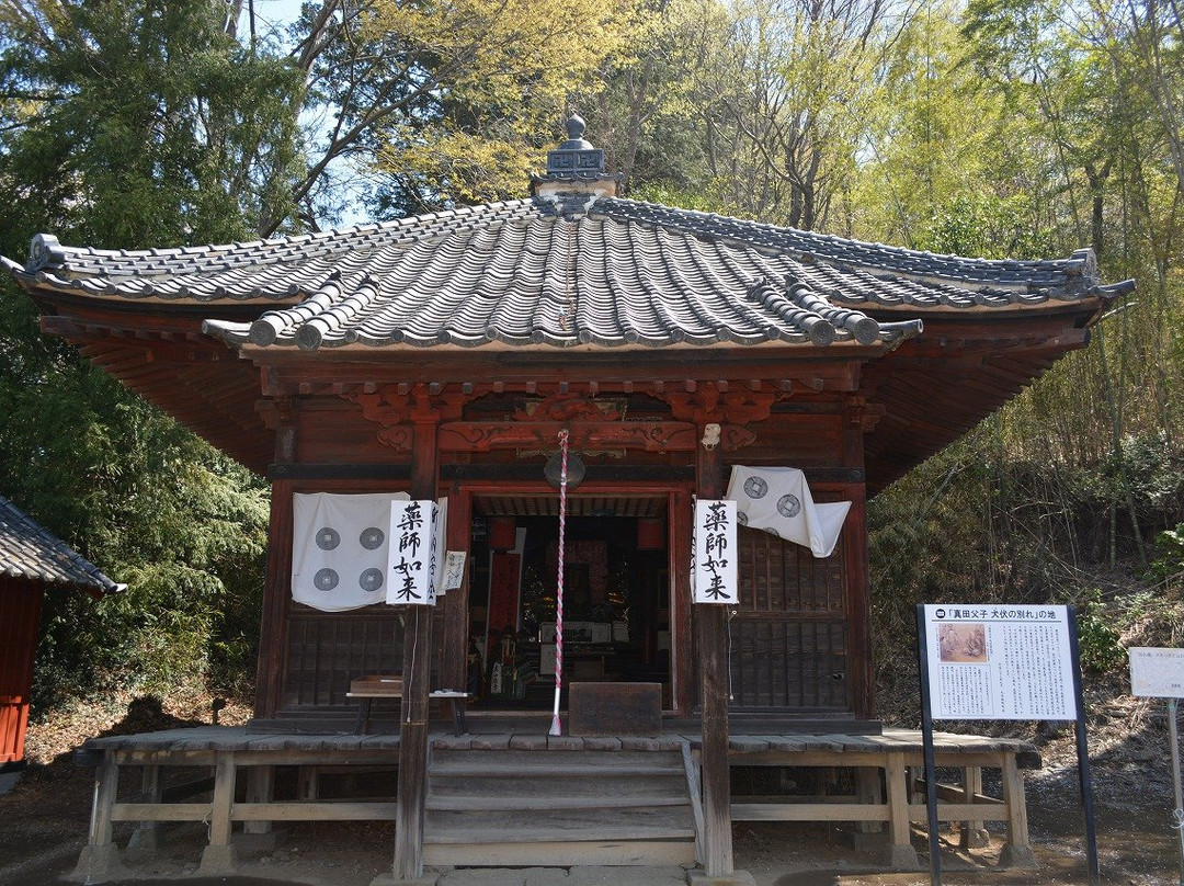 Shimmachi Yakushi-do Temple景点图片