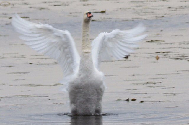 The Inn at Lake Elizabeth主图