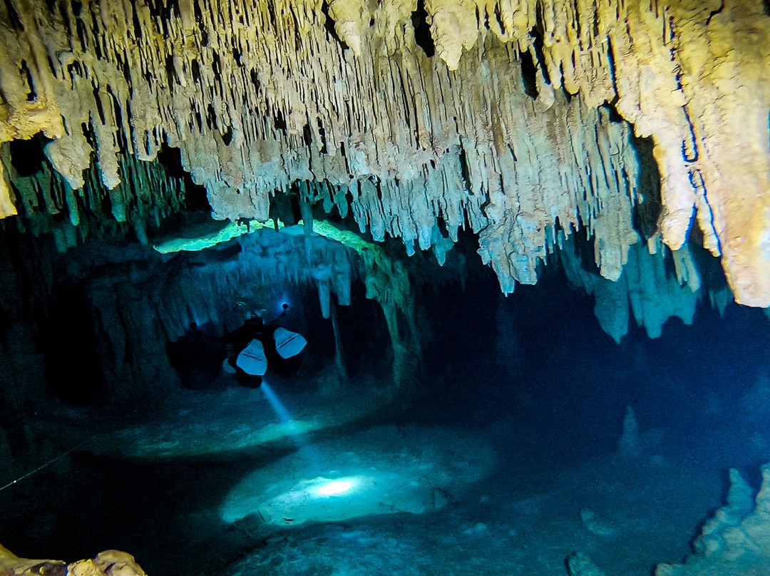 Cave Gravity景点图片