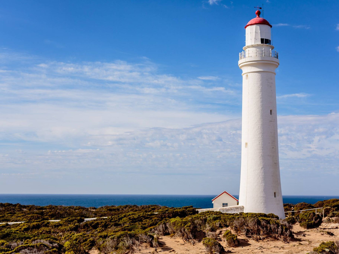 Cape Nelson lighthouse景点图片