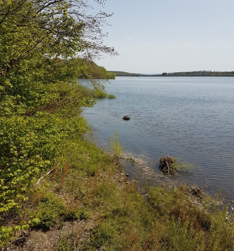 Barrage de Michelbach-Aspach-Michelbach必去景点