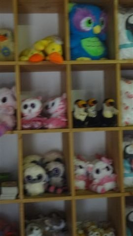 Birds of Eden-The Crags必去景点