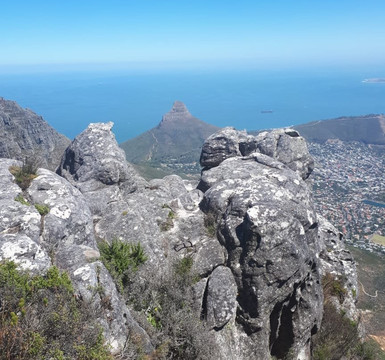 OTC Adventures-开普敦中心区必去景点
