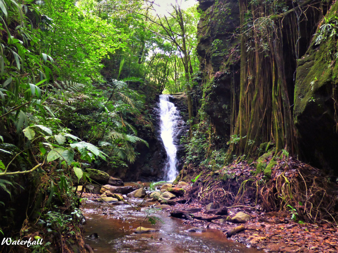 Catarata Los Murcielagos - Monteverde Waterfall景点图片