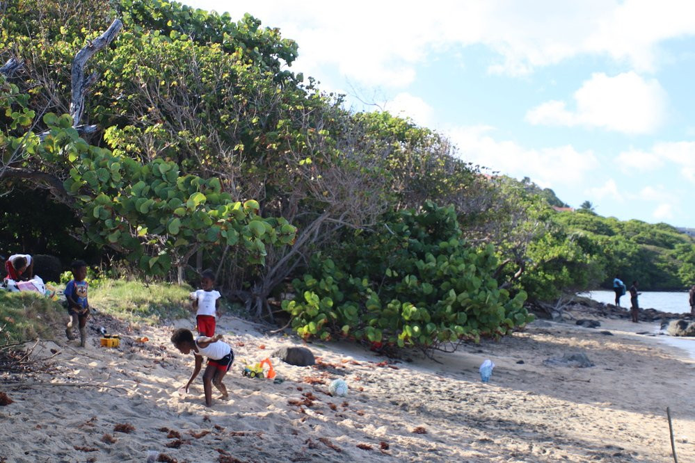 Fort Jeudy Beach-Petite Calivigny必去景点