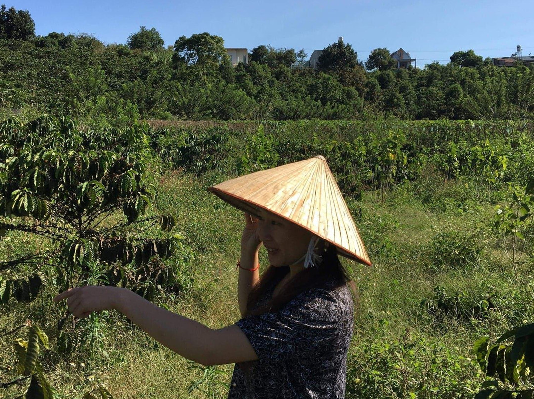 ELON  FARMSTAY-大勒必去景点