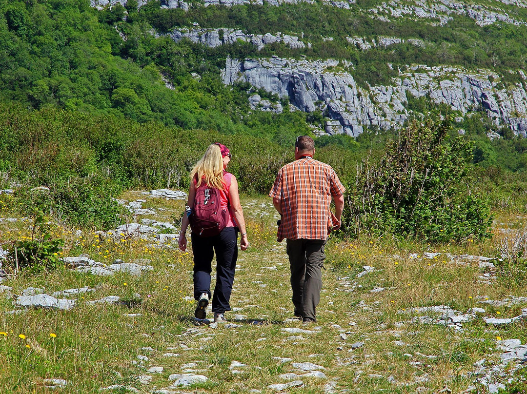 Burren Walks景点图片