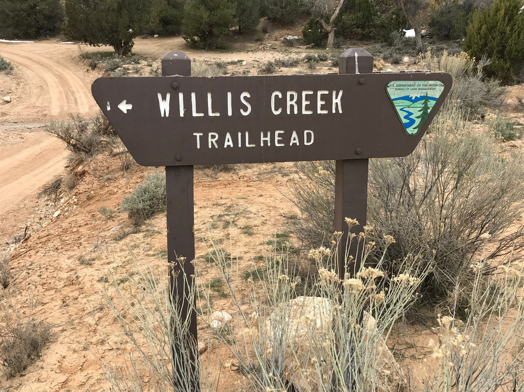 Willis Creek Slot Canyon景点图片