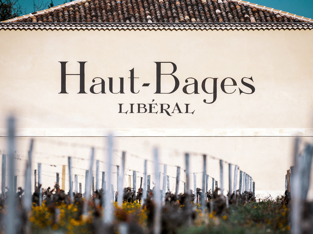 Chateau Haut-Bages Liberal景点图片