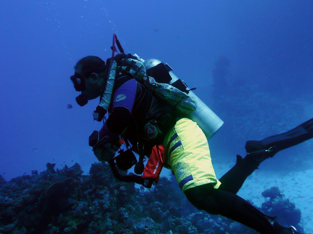Free Willy Diving-沙姆沙伊赫必去景点