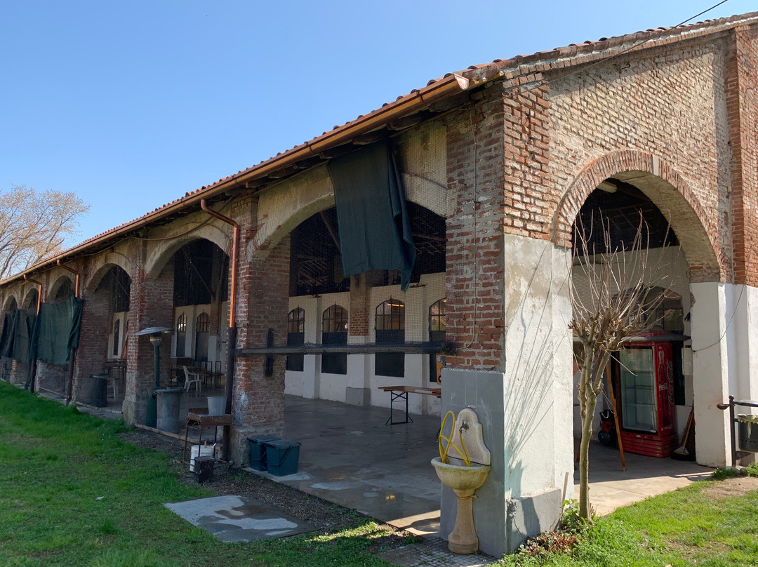 Borghetto Lodigiano旅游攻略图片