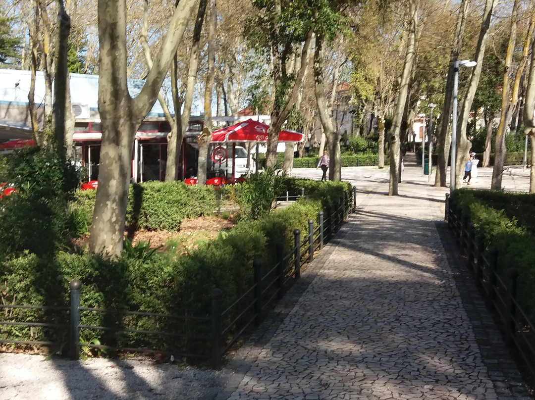 Bencatel旅游景点-Mata Municipal de Vila Vicosa