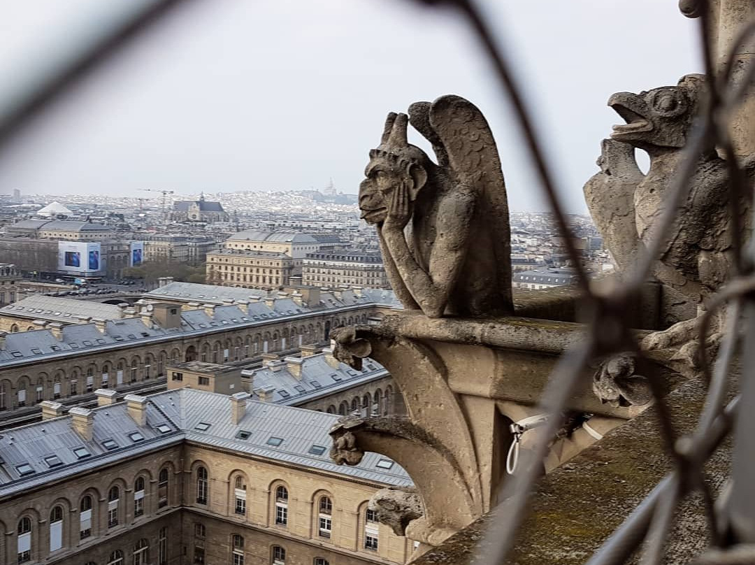 巴黎圣母院大教堂的塔楼景点图片