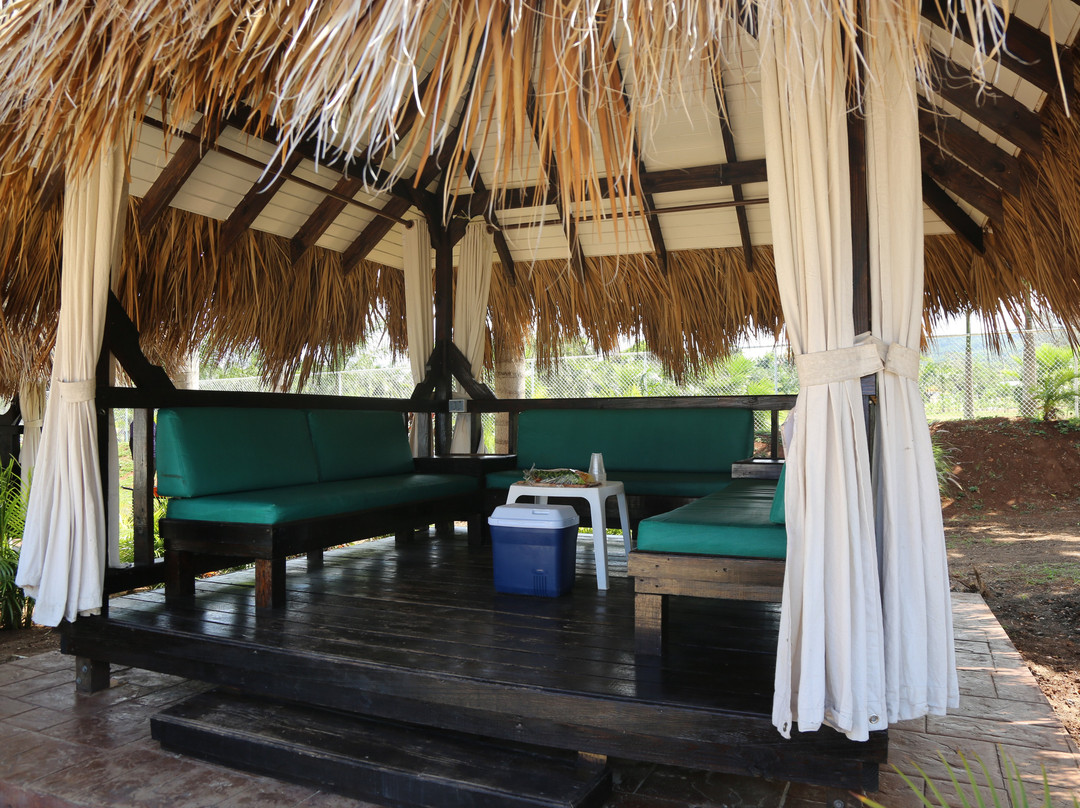 Dolphin Cove Puerto Seco Beach-发现湾必去景点