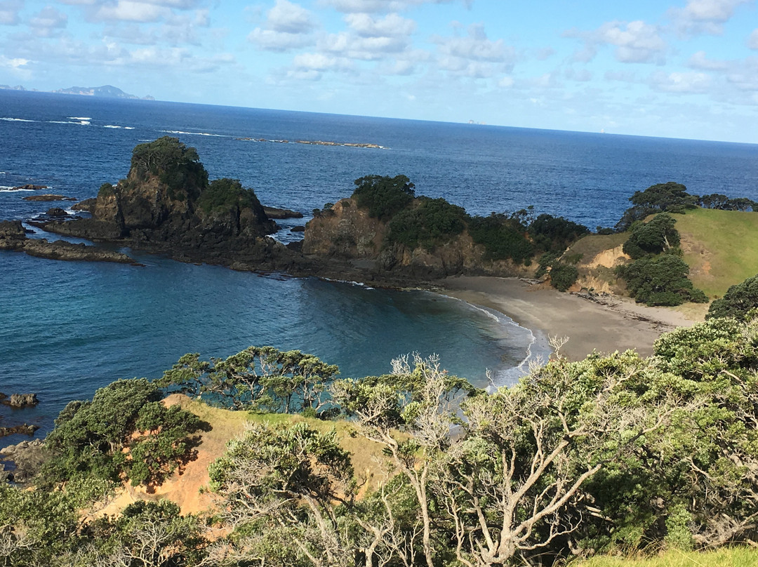 Whananaki Foot Bridge景点图片