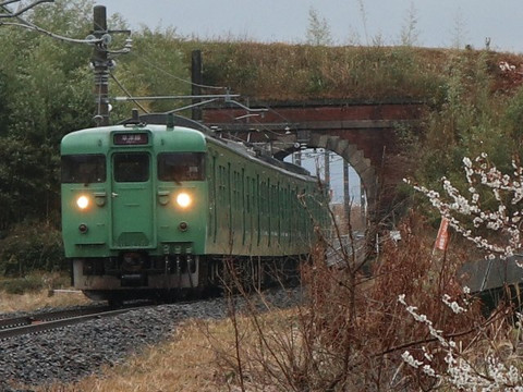 Daisagawa Tunnel-湖南市必去景点