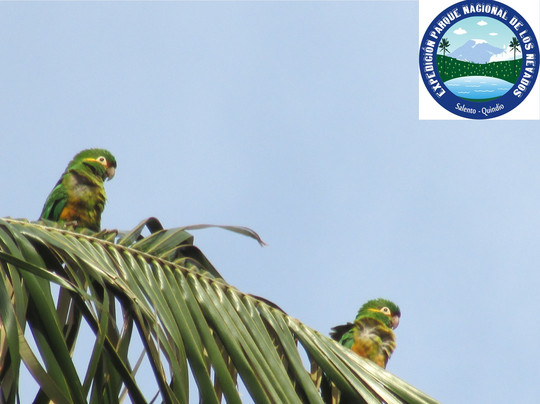 Cocora Travel-萨伦托必去景点