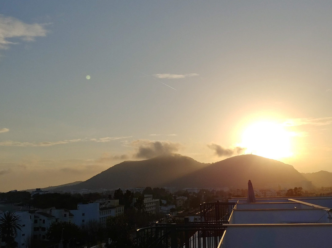 Alcudia Port Suites主图