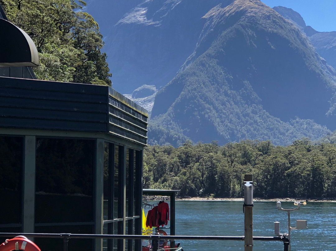 Southern Discoveries - Milford Sound Underwater Observatory景点图片