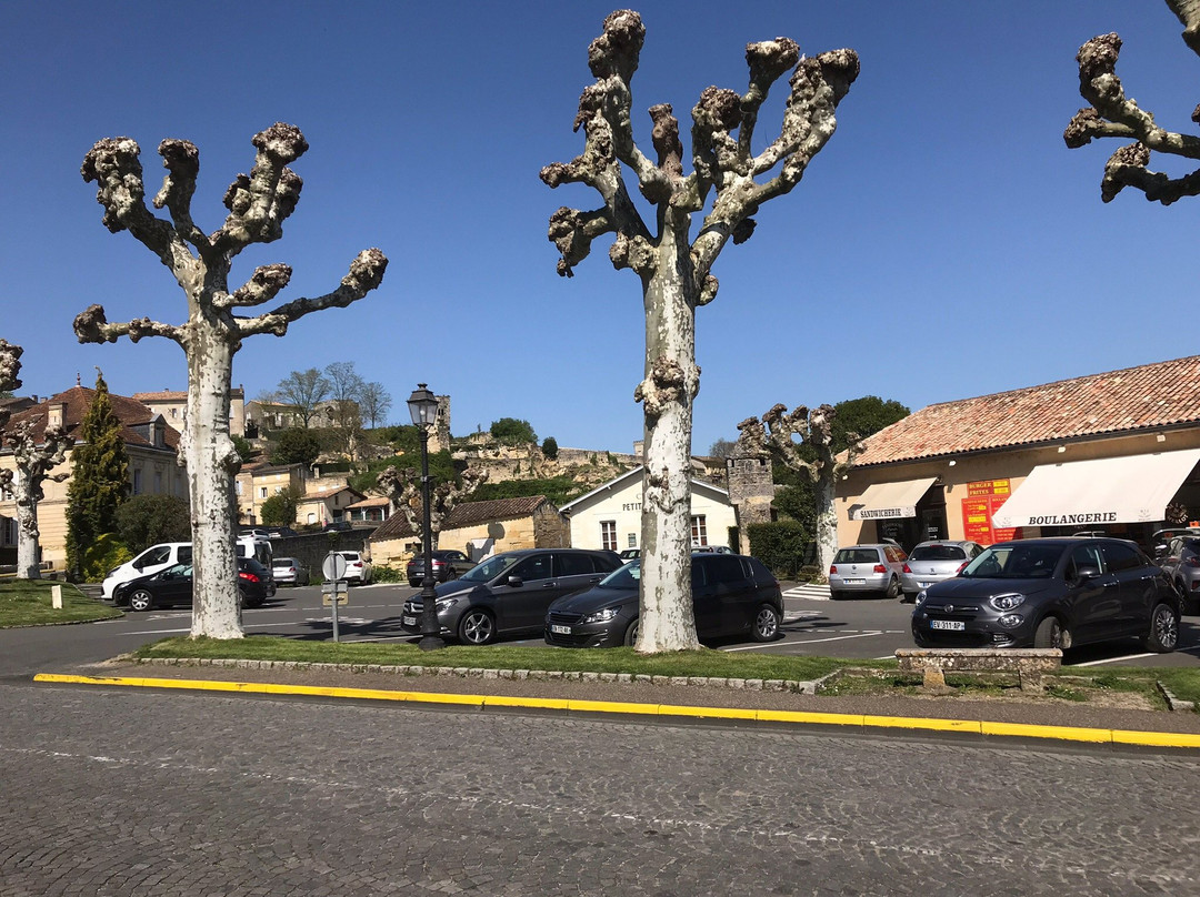 Wine Tour France景点图片