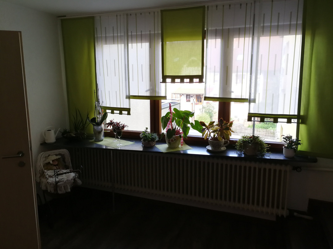Kalbach酒店住宿-Gasthof zum Biber