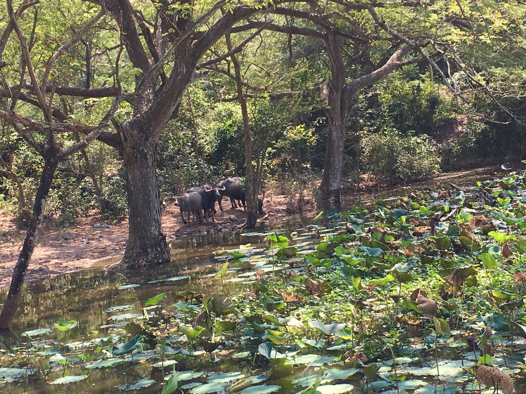 Phnom Da-茶胶必去景点