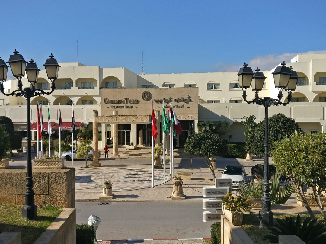 突尼斯金色郁金香迦太基酒店主图