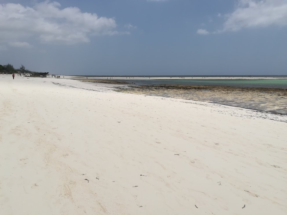 Spiaggia delle Tartarughe-瓦塔木必去景点