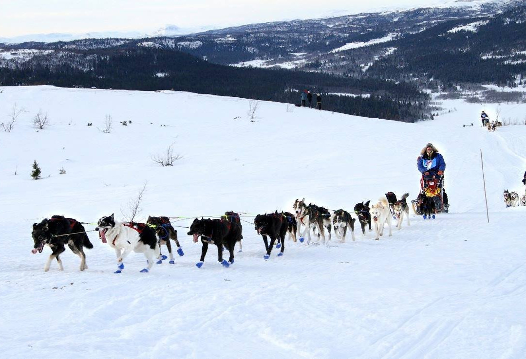 Fjestad Husky景点图片