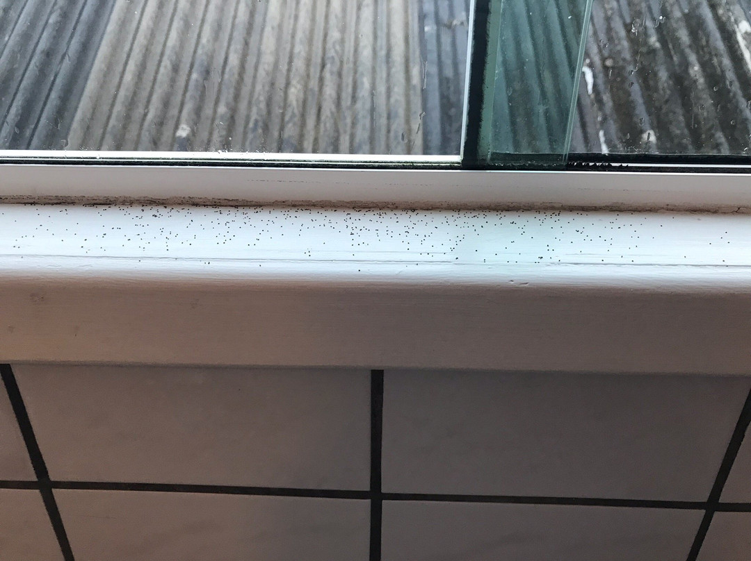 Pousada Vento Forte主图