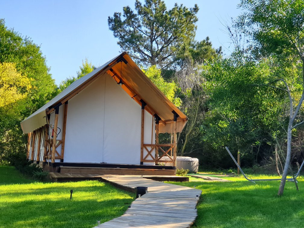 Forest Glamp