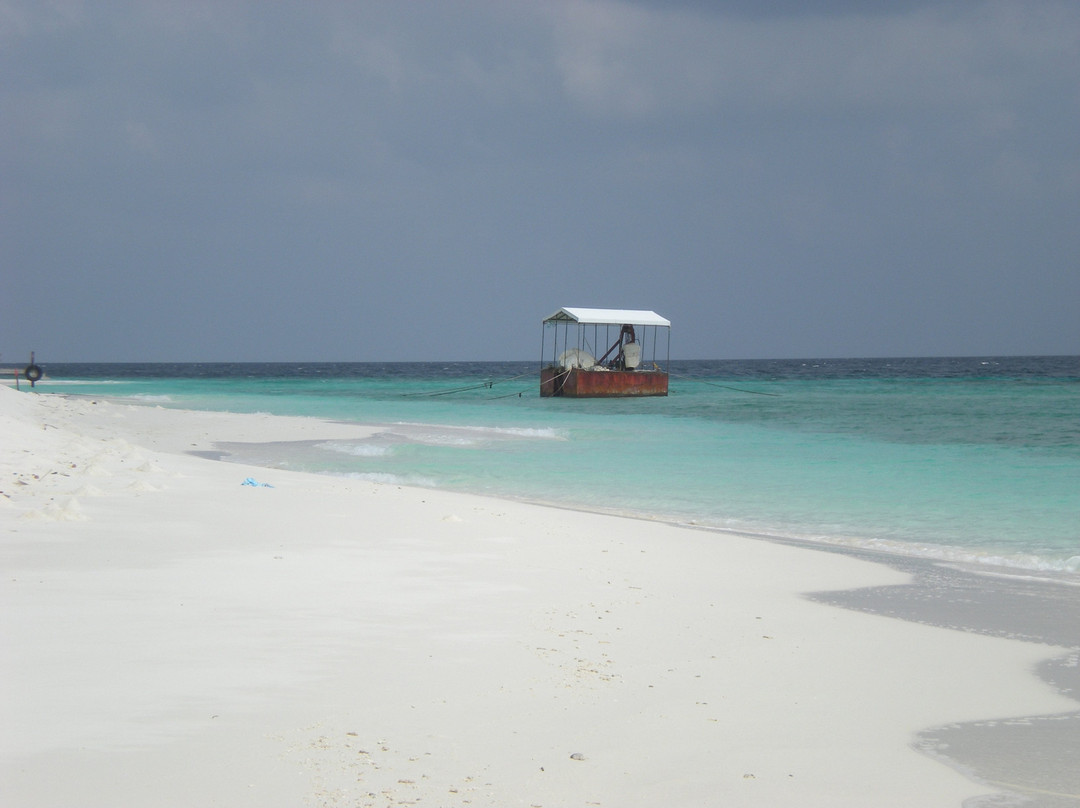 Detour Beach View主图