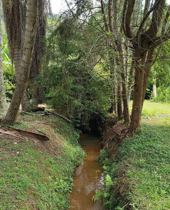 Sainte Monique Chales主图