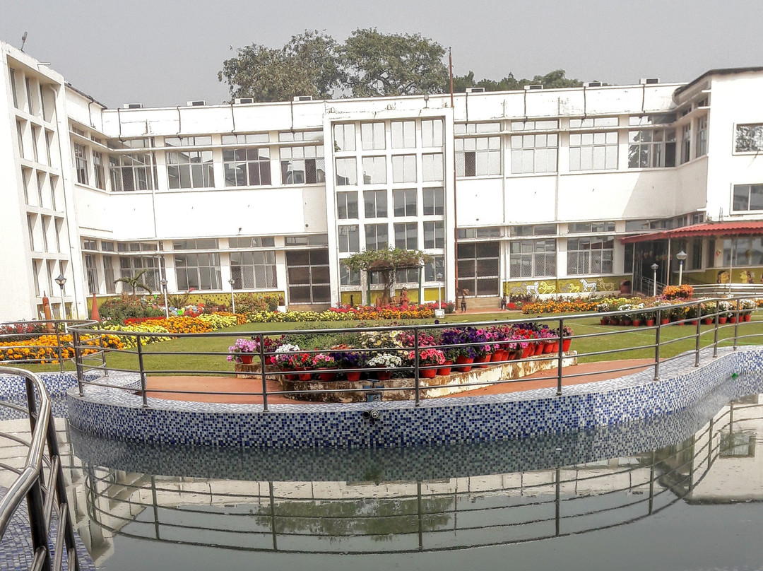 Odisha State Museum-布巴内斯瓦尔必去景点
