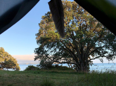 Tawhitokino Regional Park-奥克兰必去景点