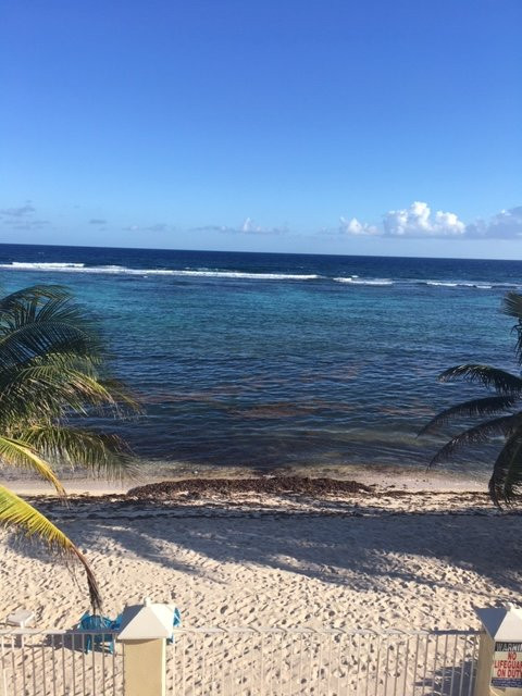 Turtle Nest Inn主图