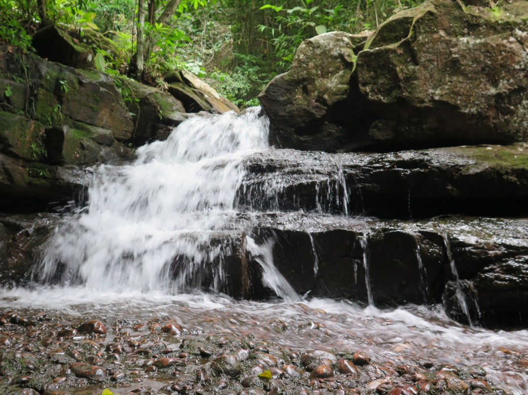 Cachoeira dos Parecis景点图片
