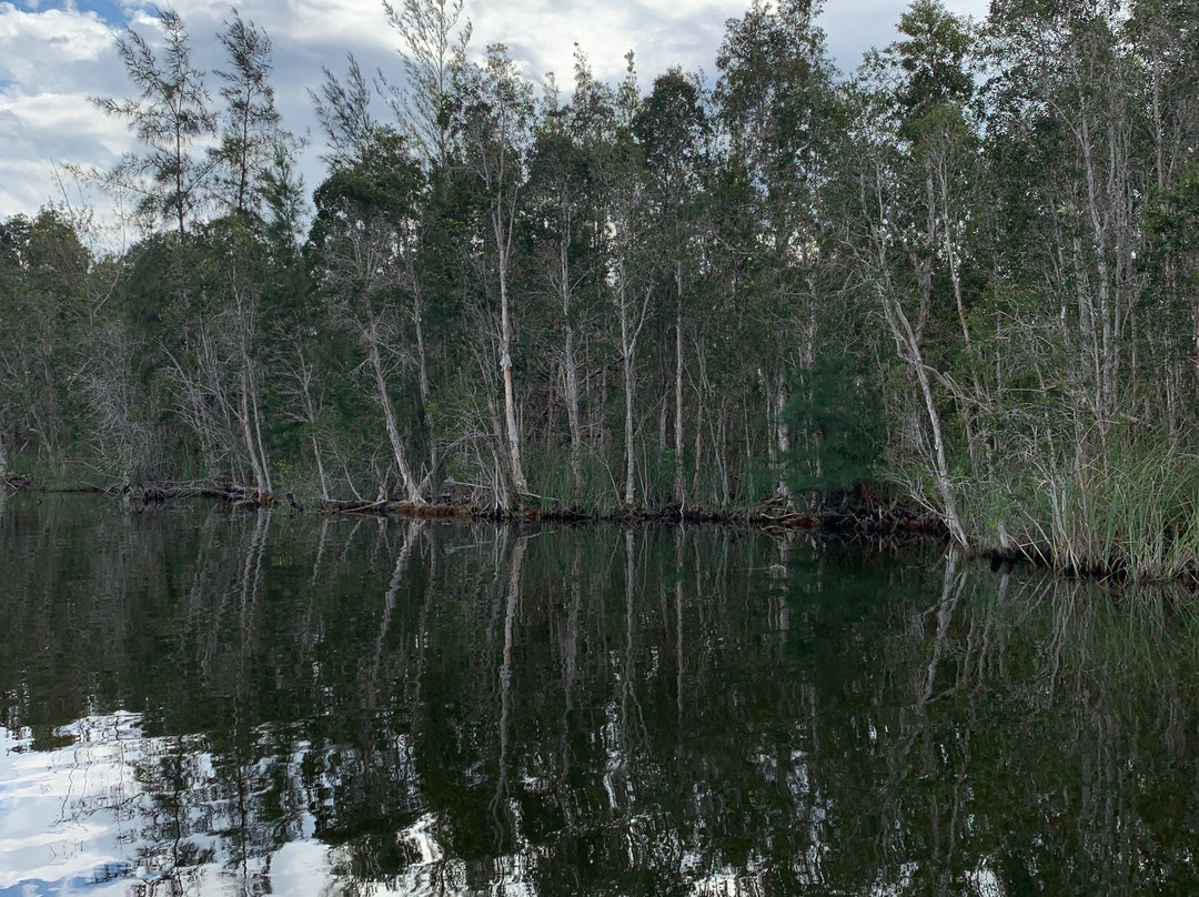 Zapata Swamp景点图片